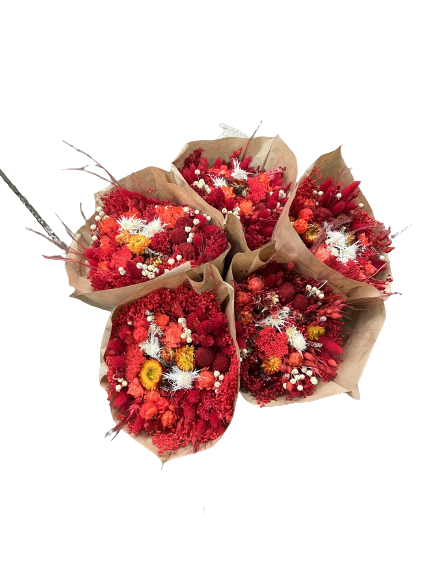 Strauß aus Trockenblumen in Rot/Weiß